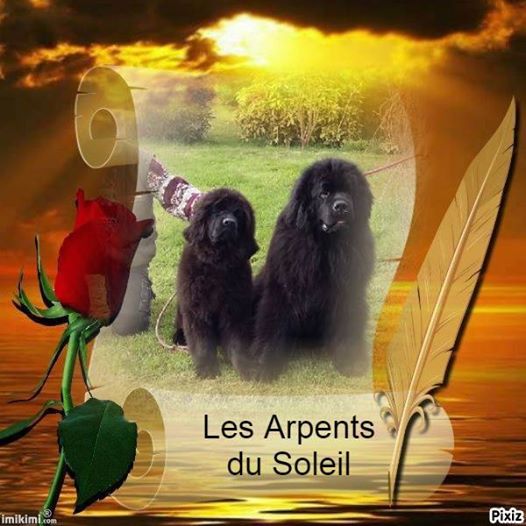 des Arpents du Soleil - Dernier départ