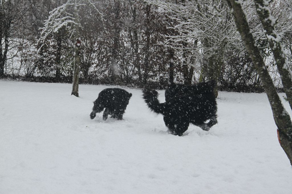des Arpents du Soleil - Neige en Normandie