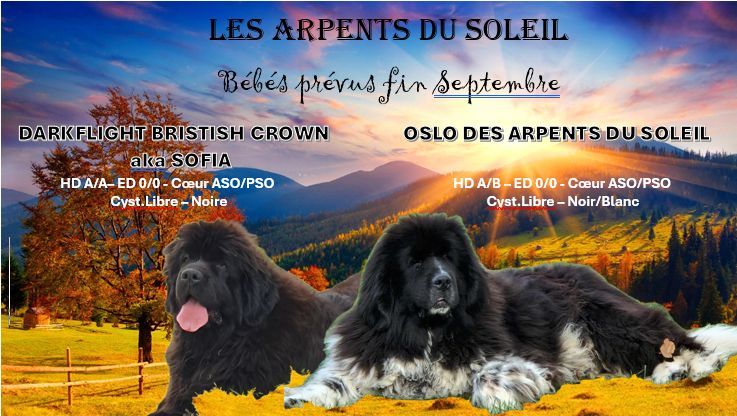 des Arpents du Soleil - Bébés prévus Fin Septembre