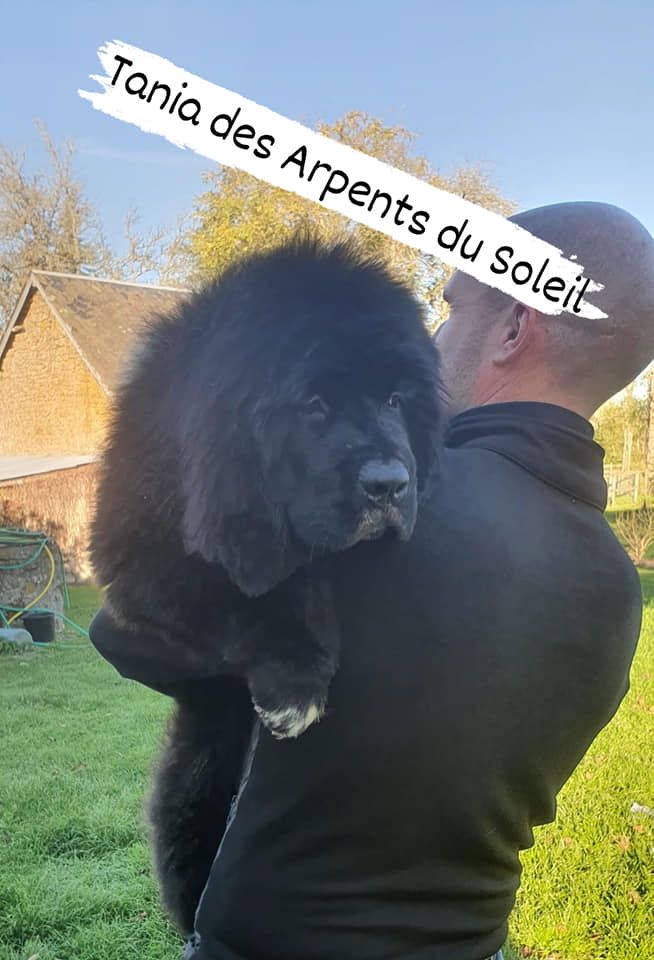 des Arpents du Soleil - Départ Tania