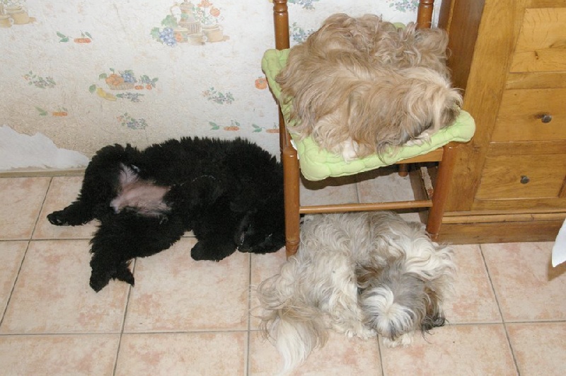 En famille ...